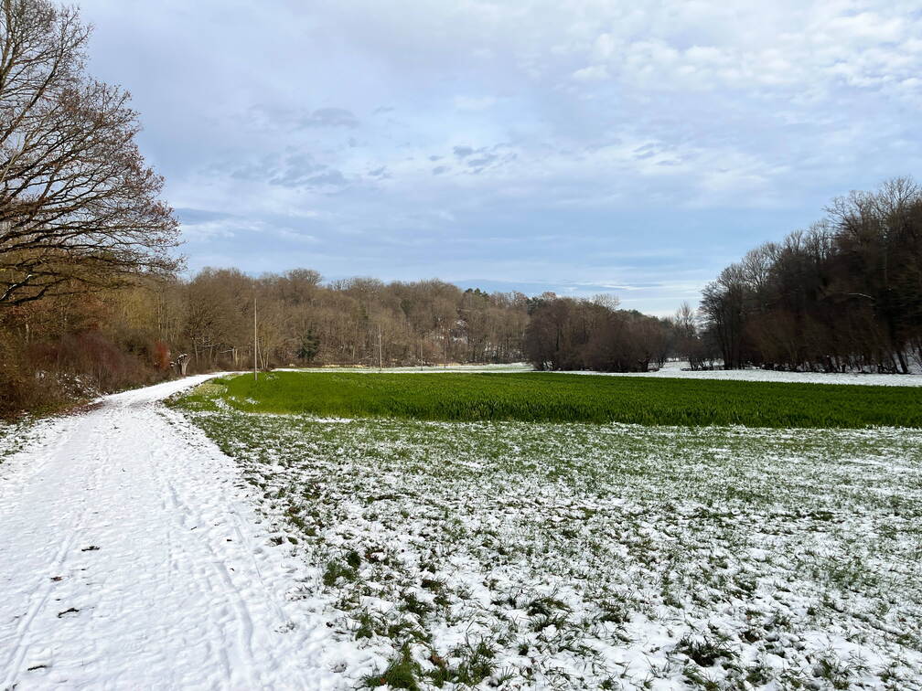 22-12-19 13-24-41 3636